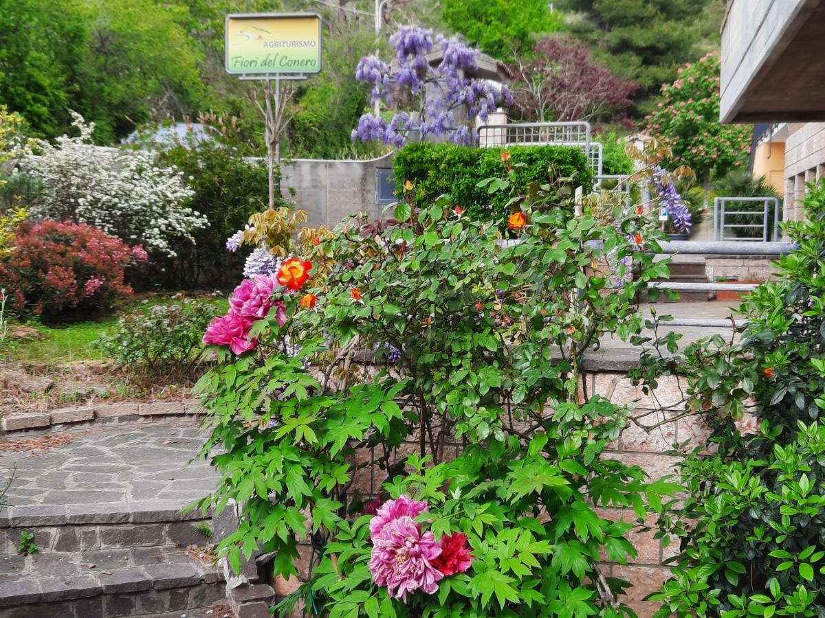 Fiori Del Conero Villa Ancona Exteriör bild